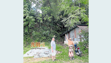 Photo of 黃義恩：檳近日暴風雨頻繁 豐盛園居民憂樹倒求助