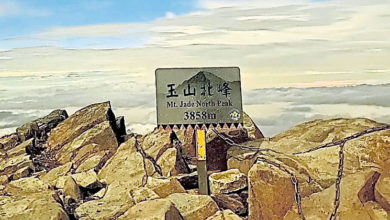 Photo of 罕見超亮紫金山彗星登場