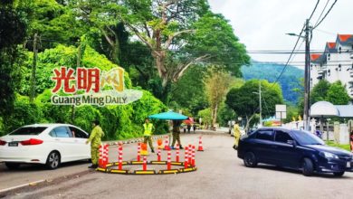 Photo of 讓路吊纜工程暫關要道 去檳植物園愁停車位