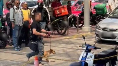 Photo of 男子牽狗進政府部門 警證實接投報