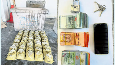Photo of 警2行動中捕2涉毒男 起73.5公升哥冬葉水