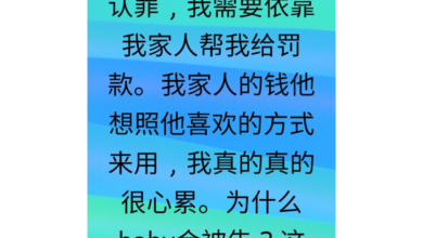 Photo of Adeline發文談被控 “要不要認罪?”
