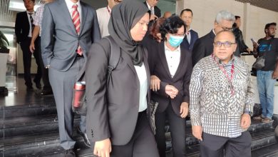 Photo of 被控致傷女子 華裔女律師不認罪