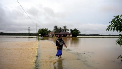 Photo of 刚播种未收割 2.6万公顷稻田 被洪水淹没