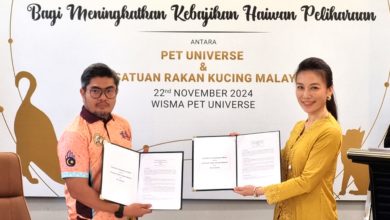 Photo of 马来西亚猫友协会与Pet Universe双方合作 全面提升猫咪福利和保护水平