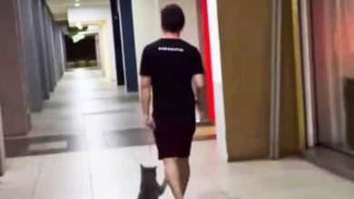Photo of 繩綁頸拖着走 男子疑虐貓 警交獸醫局調查