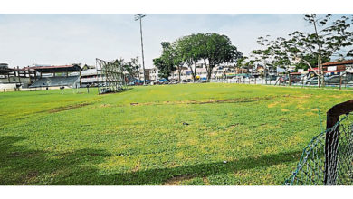 Photo of 黄天荣：栽种红花风铃木 实兆远迎樱花昌明公园