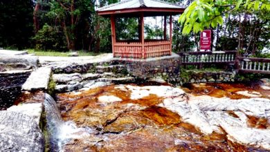 Photo of 天氣不穩定 為安全起見 吉25生態公園森林暫關