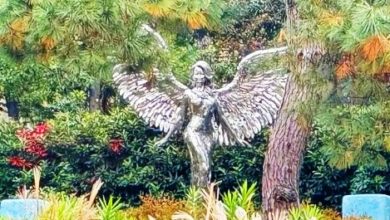 Photo of 李玟紀念公園雜草叢生 “懷念歌后”標語失蹤粉絲痛心