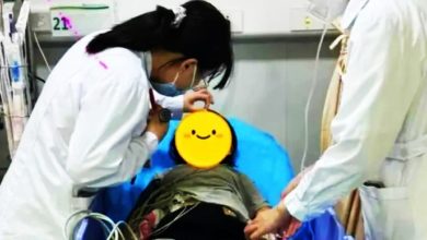Photo of 奶奶用殺蟲劑洗頭除頭蚤 致2孫女輕微中毒