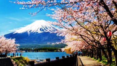 Photo of 日本山梨县考虑 提高富士山登山费