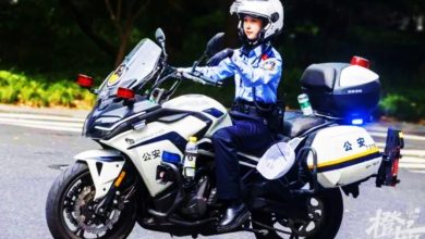 Photo of 西湖最美交警升职 网封“动物方城市”兔警官茱蒂