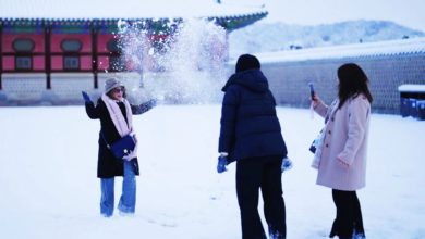 Photo of 首尔初雪累积20公分 全市发布大雪预警