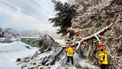 Photo of 韩国连2天降大雪至少4死 航班取消渡轮停摆