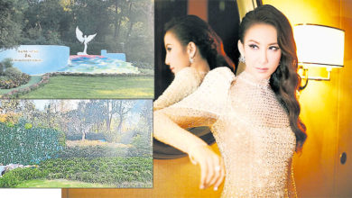 Photo of 李玟逝世1年 墓園雜草叢生