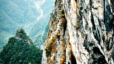 Photo of 海拔5000公尺的刺激 张家界七星山登中国最火热景点
