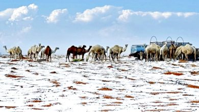 Photo of 沙地阿拉伯下雪了 乾旱沙漠變銀白大地