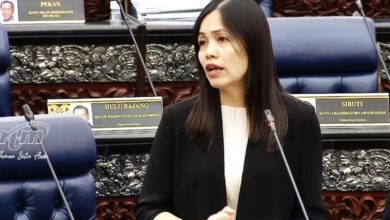 Photo of 國會〡已對付2人包括Adeline Chang 張念群：續用通訊法令控濫用網路者