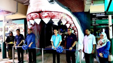 Photo of 【峇都茅水族館翻新重開儀式】漁業局：抵消進出口差距 觀賞魚產量將增5%