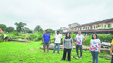 Photo of 班台峇鲁花园获拨款 40万建昌明大马公园