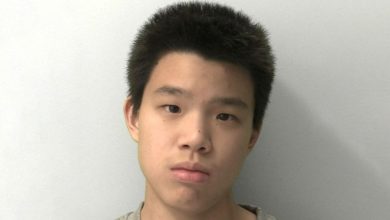 Photo of 17歲大馬少年熱愛暴力電影 在英國鐵錘襲師生 被判終身監禁