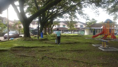 Photo of 爪夷水晶園操場 遭雨樹樹根破壞