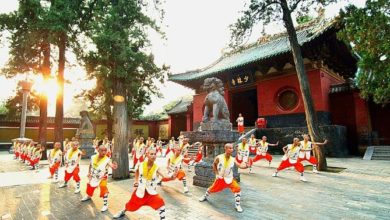 Photo of 檳城直飛西安 穿越四大古都 8天7夜超值之旅 只需RM3388