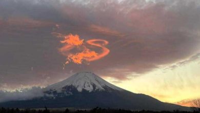 Photo of “鸟山明老师……转生成功” 火龙现身富士山 2000多万人朝圣