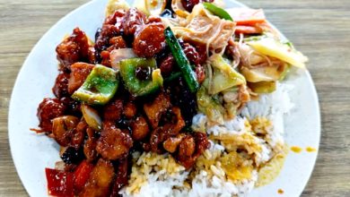 Photo of 经济饭不经济 1菜1肉20元贵过狮城