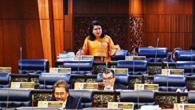 Photo of 【国会】若种族情绪加剧分裂 团结部或制定和谐法