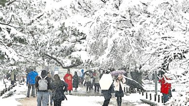 Photo of 韓多地發佈大雪警報 濟州山區積雪逾55cm
