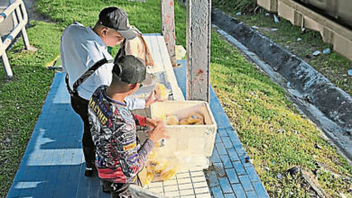 Photo of 交通灯处卖腌制水果 4男子接罚单
