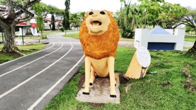 Photo of 网民讥越粉刷越怪异 狮石像黑化？