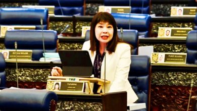 Photo of 【国会】林慧英：积极解决影子经济问题 遏制税收流失