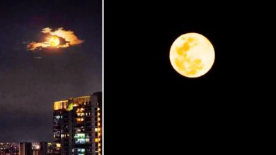 Photo of 今年最后一次满月 “冷月”点缀夜空