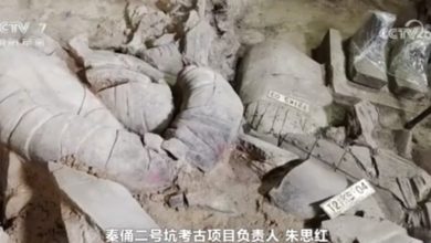 Photo of 秦兵马俑二号坑 挖到高级军吏俑
