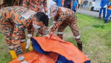 Photo of 哥哥发现尸体 男子遭鳄鱼拖下河身亡
