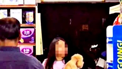 Photo of 不满带狗进超市被劝阻 女子反呛：这不是你的店