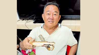 Photo of 为保百棵名种黑剌 小园主砍3枯萎病树