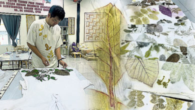 Photo of 杂草花叶变画笔 印出自然美
