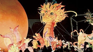 Photo of 两马同春灯会亮灯
