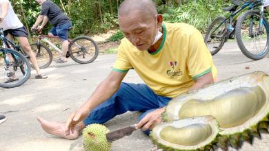 Photo of 【自游自在】吃的是情怀