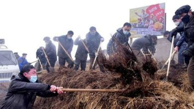 Photo of 金正恩新年求粪 每人争交500公斤粪便