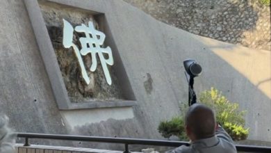 Photo of 猴子入侵寺庙 法师开枪吓阻