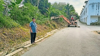 Photo of 枝叶伸出马路太危险 潘宥磬出钱清杂树