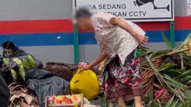 Photo of 无视电眼警告牌 老妇敢敢丢椰壳 挨罚RM1000