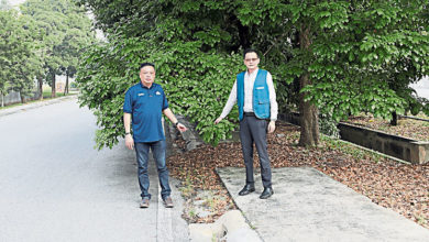 Photo of 陈健达：任由大树危及民众 武吉拉惹镇民生待解决