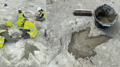 Photo of 英出土最大片恐龙足迹遗址 约200脚印溯至1.6亿年