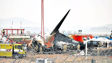 Photo of 韩国客机坠毁〡济州航空空难 官方首次证实遭鸟击