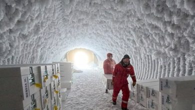 Photo of 往地心钻洞3公里 科学家带回这件东西